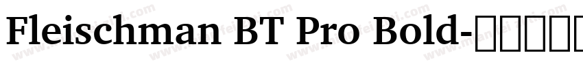 Fleischman BT Pro Bold字体转换